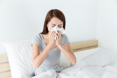 Allergiker Kissen